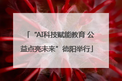 “AI科技赋能教育 公益点亮未来”德阳举行